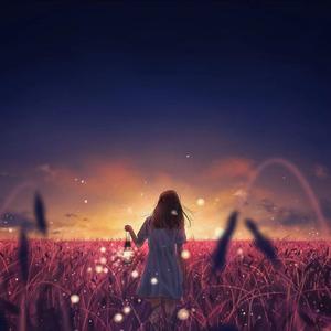 血腥割头外网免费版
